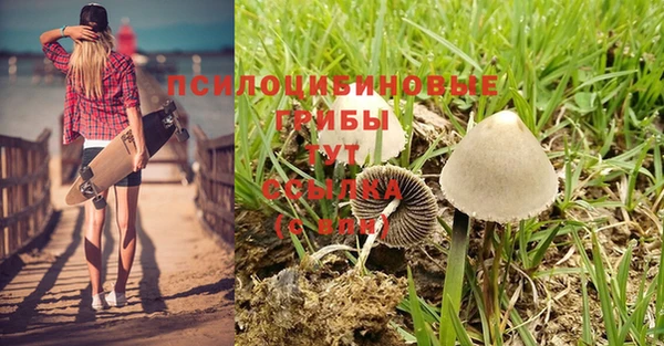 экстази Алексеевка